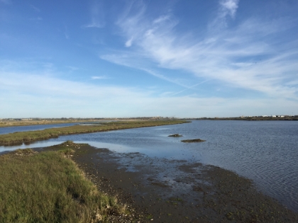 Picture from the footbridge.