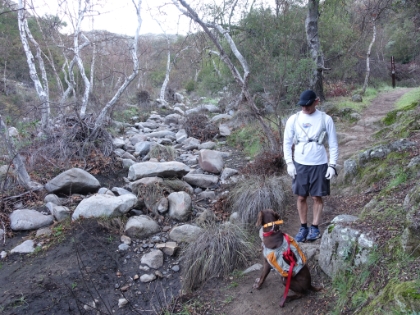 Another trip to Chiquito, this time with Dr. Rock and Rufus.
