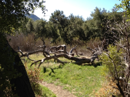 Off the San Juan Loop and onto the Chiquito Canyon trail.