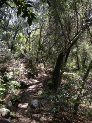 Not too bad for a local trail!