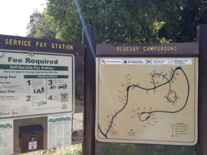 Made it to Bluejay Campground. You can of course drive here via a small road off of Ortega Highway, but it's much more fun to run 10 miles to get here.