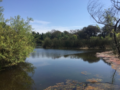 El Dorado Nature Center
