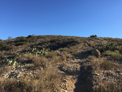 Not much vegatation but plenty of steep singletrack.