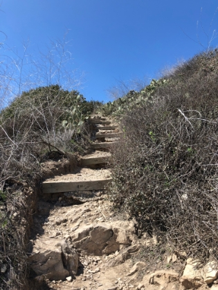 One of the trails heading up from the water to the bluffs. It's a great climb.