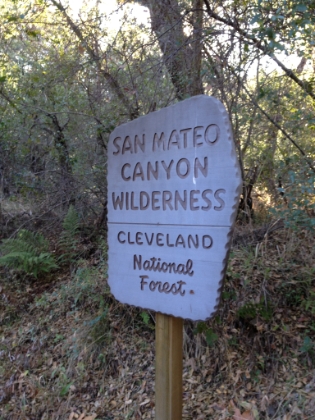 A new wilderness area to explore...