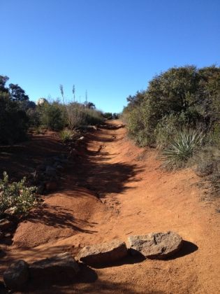 The trail and terrain is varied enough to never get boring.