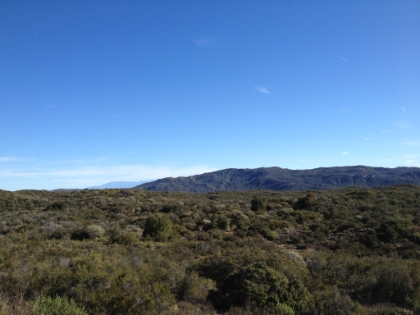 Lots of wide-open green views.