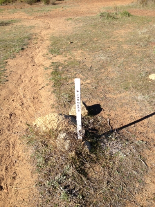 The Four Corners trail junction. Actually, it seemed like 5 or 6 trails all converged here. These makeshift trail signs are a bit cheesy but very effective!