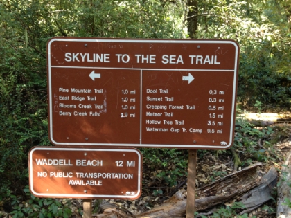 I made the long, beautiful drive down the narrow, winding road to Big Basin Redwoods State Park, the oldest State Park in California. The rather spontaneous plan was to run the Berry Creek Falls loop clockwise starting on the Skyline to the Sea trail.