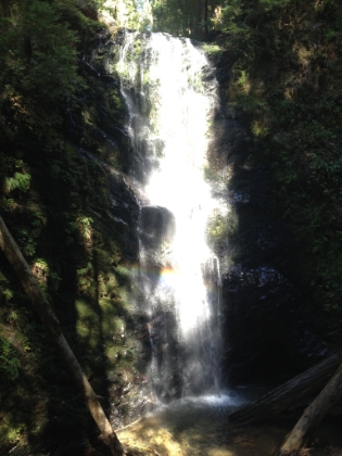 A slightly different angle. Berry Creek Falls is spring fed, so there's still decent water flow even in a record dry year.
