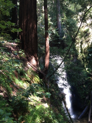 The trail heads up the side of the falls.