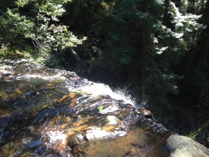 Top of the falls. The perfect 90 degree dropoff makes it easy to get really close to the edge.