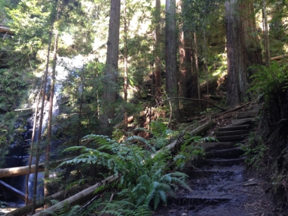 Some cool trail steps climbing up alongside the falls.