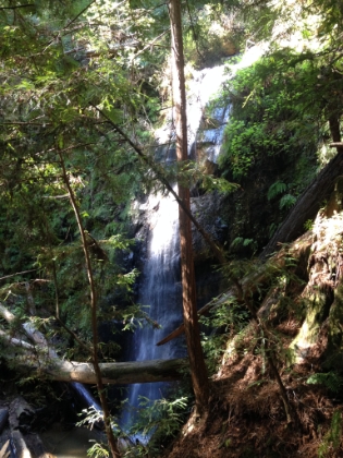 Silver Falls. Definitely low flow compared to pictures I've seen, but beautiful nonetheless.