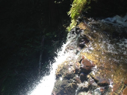 Hanging over the railing at the top of Silver Falls.