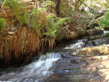West Berry Creek ready to head over the falls.