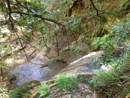 Top of Golden Falls.