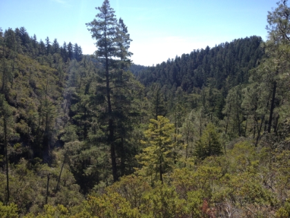After Golden Falls, the trail forks onto the Sunset trail for the backside of the loop returning to the trailhead. The trail climbs above the forest for a while. It's a little less interesting for a few miles, but still great single track.