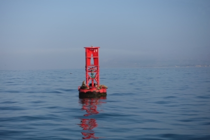 Some sea lions lounging around as we leave the harbor.