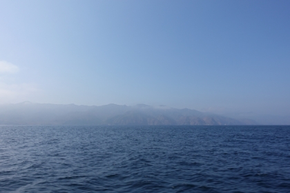 After leaving Painted Cave, we head back out to sea for some whale watching. While we unfortunately didn't see any whales, we did have some amazing dolphin encounters.