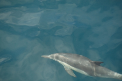 They were almost close enough to touch.