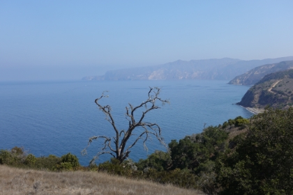 Fantastic coastal views everywhere you look.