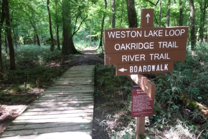 After the touristy boardwalk area, I start the River Trail loop that should take me out to the Congaree River.