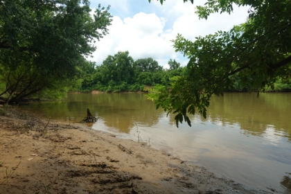 Made it out to a small sand bar, looking South down the Congaree.
