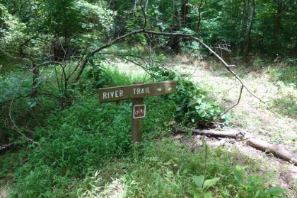 A random sign marking the "trail". I love the "no bikes". Don't think you have to worry about that here. It looks like it's been years since the trail was maintained enough for bikes back here.