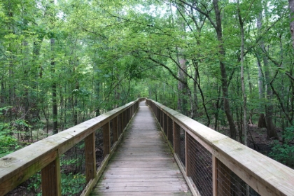 Congaree National Park