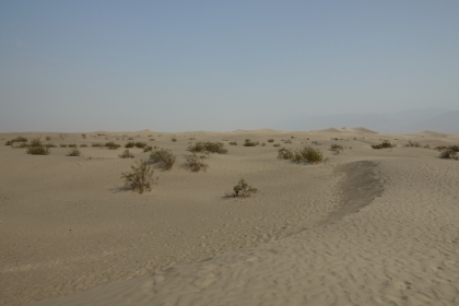 The sand dunes. This is where the backdrops of Tatooine were filmed for Star Wars. How awesome is that!? I decided to take a little excursion and get closer to those big sand dunes in the distance. The temps were only 95 degrees at the moment.