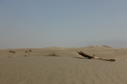 Getting closer. Even more than the heat, the dryness just sucks the water out of you. And distances are really deceiving out here. Those dunes are a lot further a way than they look.