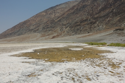 The springs at Badwater. Crazy to see water here in 117 degree heat and 282 feet below sea level. The water emerging here right now started as rain or snow thousands of years ago in the Ice Age in the mountains of Nevada. It then  very  slowly makes its way here. It's called Badwater because the first surveyors couldn't get their horses to drink here and called the water "bad", which would make sense given the high salt content.
