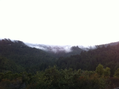 A view down Tamalpais Valley from the very top of Tamalpais Avenue, which is an extremely narrow, winding, little road.