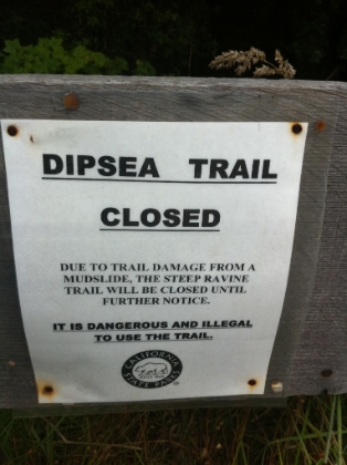 The "Steep Ravine" portion of the trail just outside of town was closed. I'm normally a law abiding citizen, but I'm sorry, if I see a sign like this it may as well read "Really awesome trail, run on it now!".
