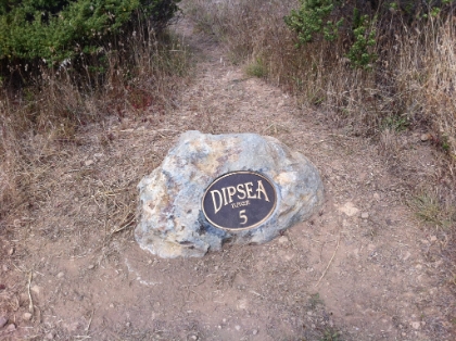 I turned around just a bit after the Mile 5 marker, which made for almost 11 miles round trip including my unintended detours. The finish line is another 2.5 miles downhill to Stinson Beach. Hopefully I'll have more time on another day to run the full course out and back.