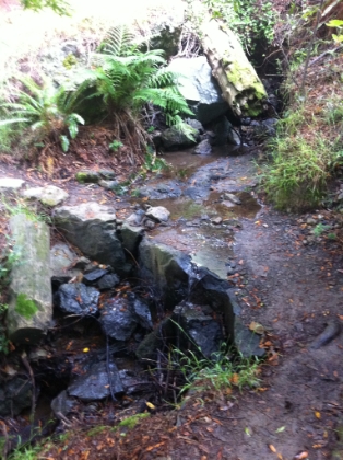 Plenty of water still in mid-August.