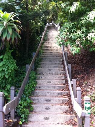 The final flight of stairs, renovated in 2007. I got mildly lost a couple times trying to follow the "trail" out of town. It's a lot tougher to find when it's not marked for the race.