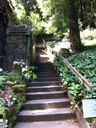 The second flight of stairs, not yet renovated.