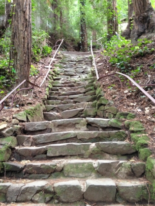 This flight of stairs was closed last time I was here. Great to see it open again, it's a great section.