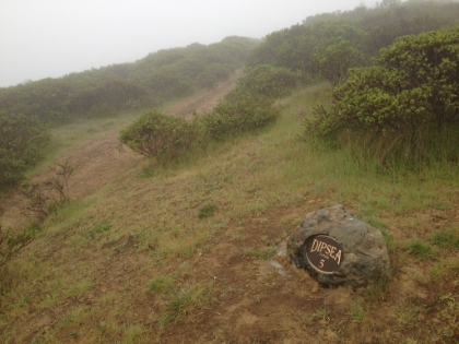 Jump forward to Mile 5 where my pictures from the last trip ended. This is the first time I've run the trail beyond this point other than during the actual race. A much different experience when you're all alone!