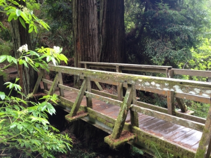 Down to the bottom of the canyon, crossing Web Creek.