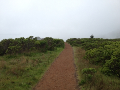 Down to The Moors heading out to Stinson Beach.