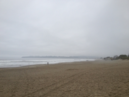 Looking North along the beach.