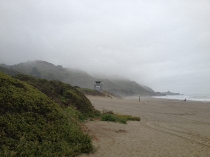 Made it to the beach! Looking South along Stinson Beach.