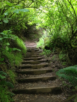 The 1,200' mile is tough going uphill! I had a mostly uneventful return trip to Mill Valley and was back at work  in SF an hour later.