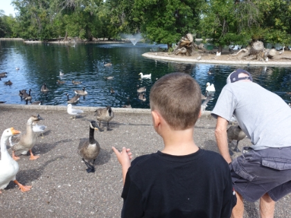 Checking out the geese at Gibson Park. This is the lake where my Dad grew-up playing hockey in the winter.