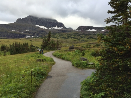 Kyle reading about the local wildlife.
