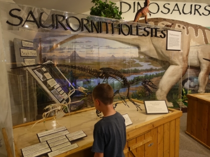 Evidently that is a Saurornitholestes.