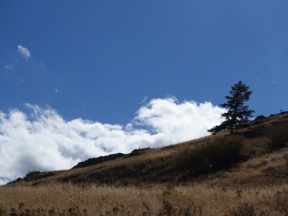 The tiny profile of some bighorn sheep on the ridge.
